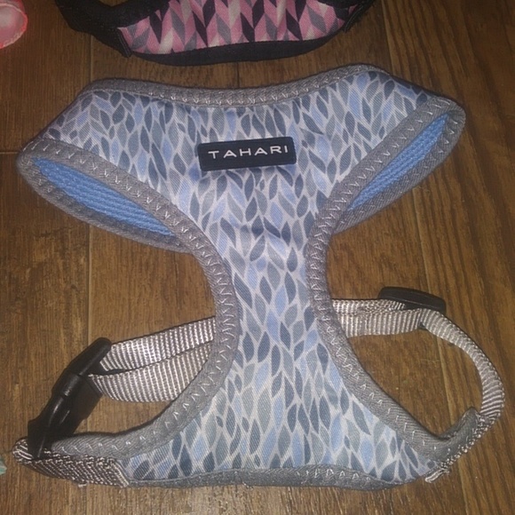 Tahari Dog Tahari Dog Harness Lot Poshmark